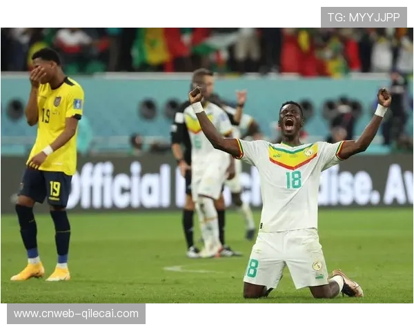 巴西站后车手冠军格局:诺里斯占优,维斯塔潘背水一战 巴西站后车手冠军格局:诺里斯占优,维斯塔潘背水一战