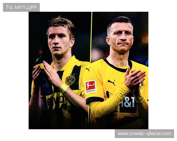 多特蒙德罗伊斯告别战在即，俱乐部筹备纪念活动